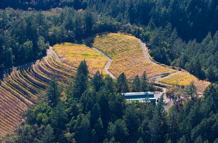 Mountainside Estate Vineyards