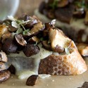Wild Mushroom & Brie Crostini